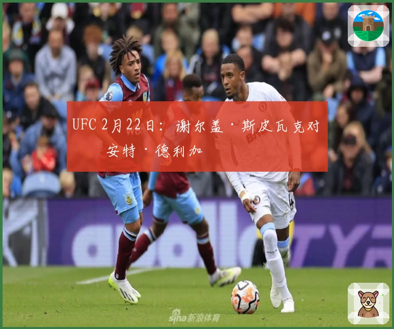UFC 2月22日：谢尔盖·斯皮瓦克对决安特·德利加